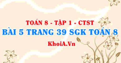 Bài 5 trang 39 SGK Toán 8 Tập 1 Chân trời sáng tạo